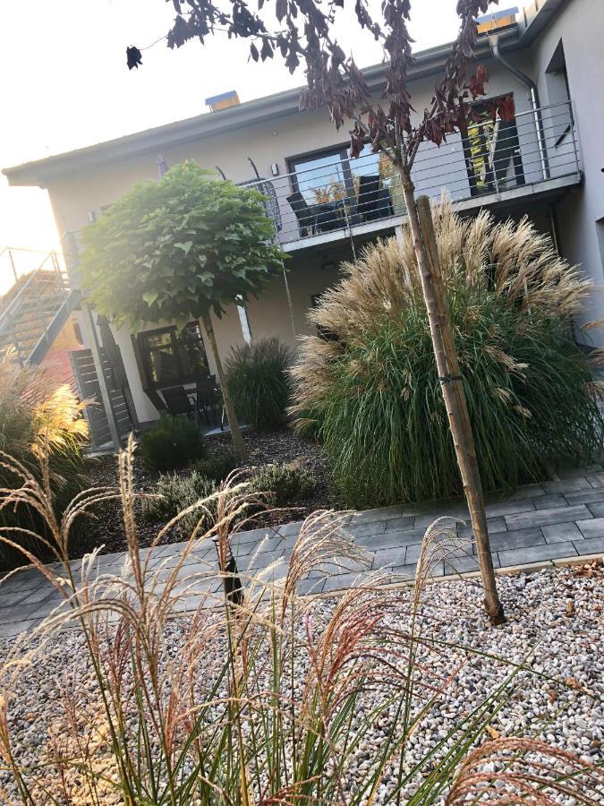 Apartmany Benesov Benesov nad Ploucnici Dış mekan fotoğraf