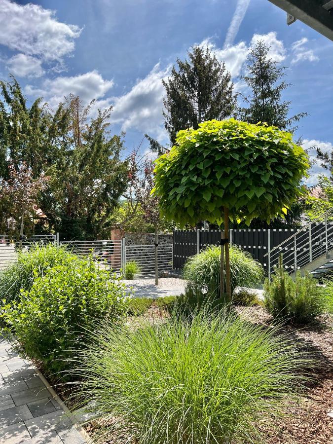 Apartmany Benesov Benesov nad Ploucnici Dış mekan fotoğraf