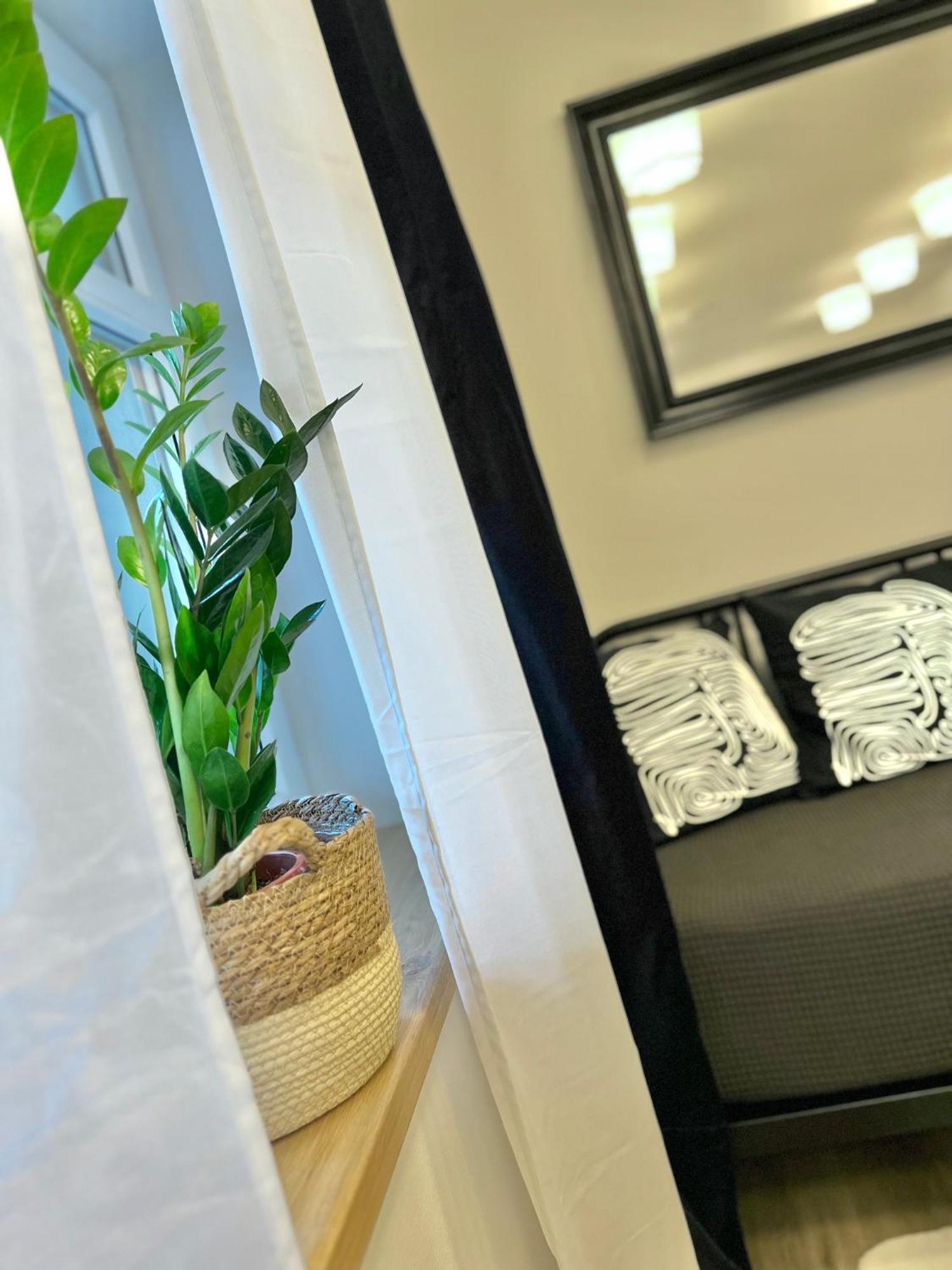 Apartmany Benesov Benesov nad Ploucnici Dış mekan fotoğraf