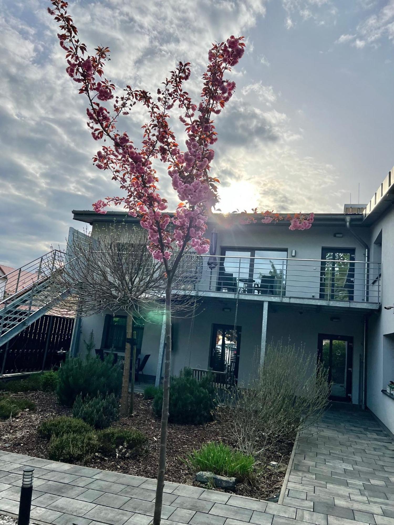 Apartmany Benesov Benesov nad Ploucnici Dış mekan fotoğraf