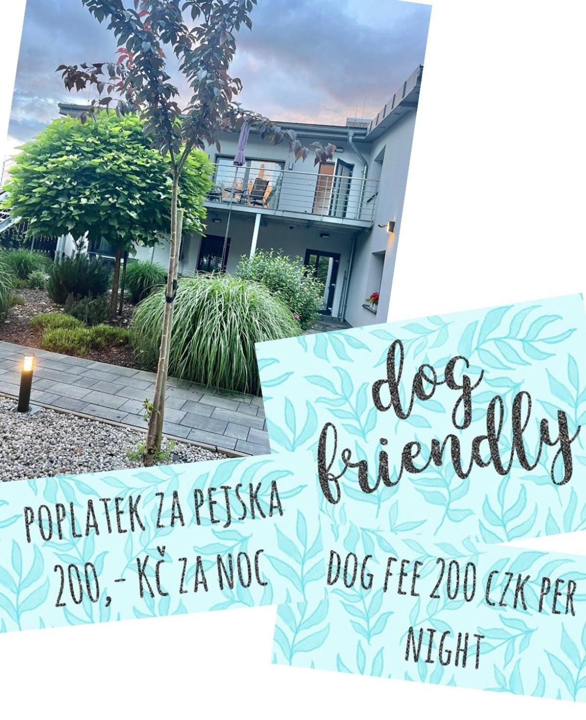 Apartmany Benesov Benesov nad Ploucnici Dış mekan fotoğraf